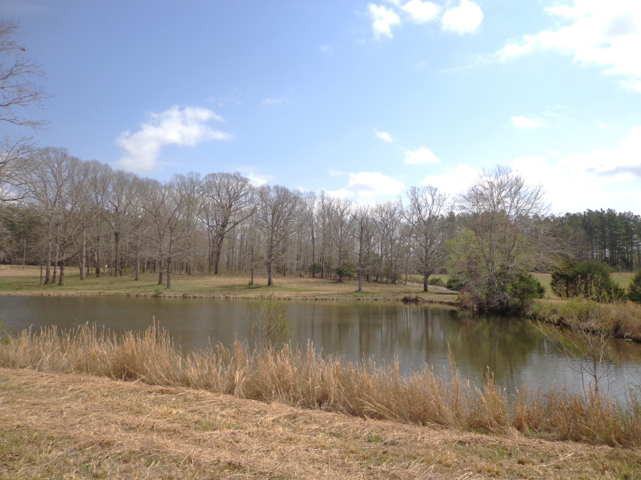 1551 Tennessee Ridge Road Waverly, TN 37185 - Photo 12 of 19
