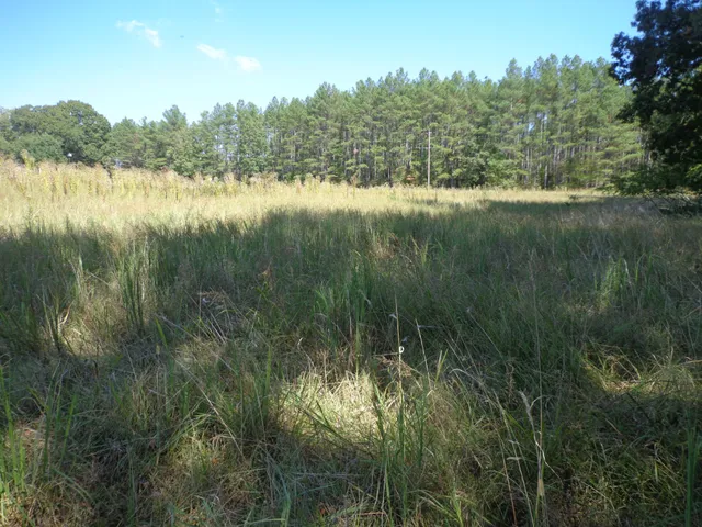 a view of lake with green space