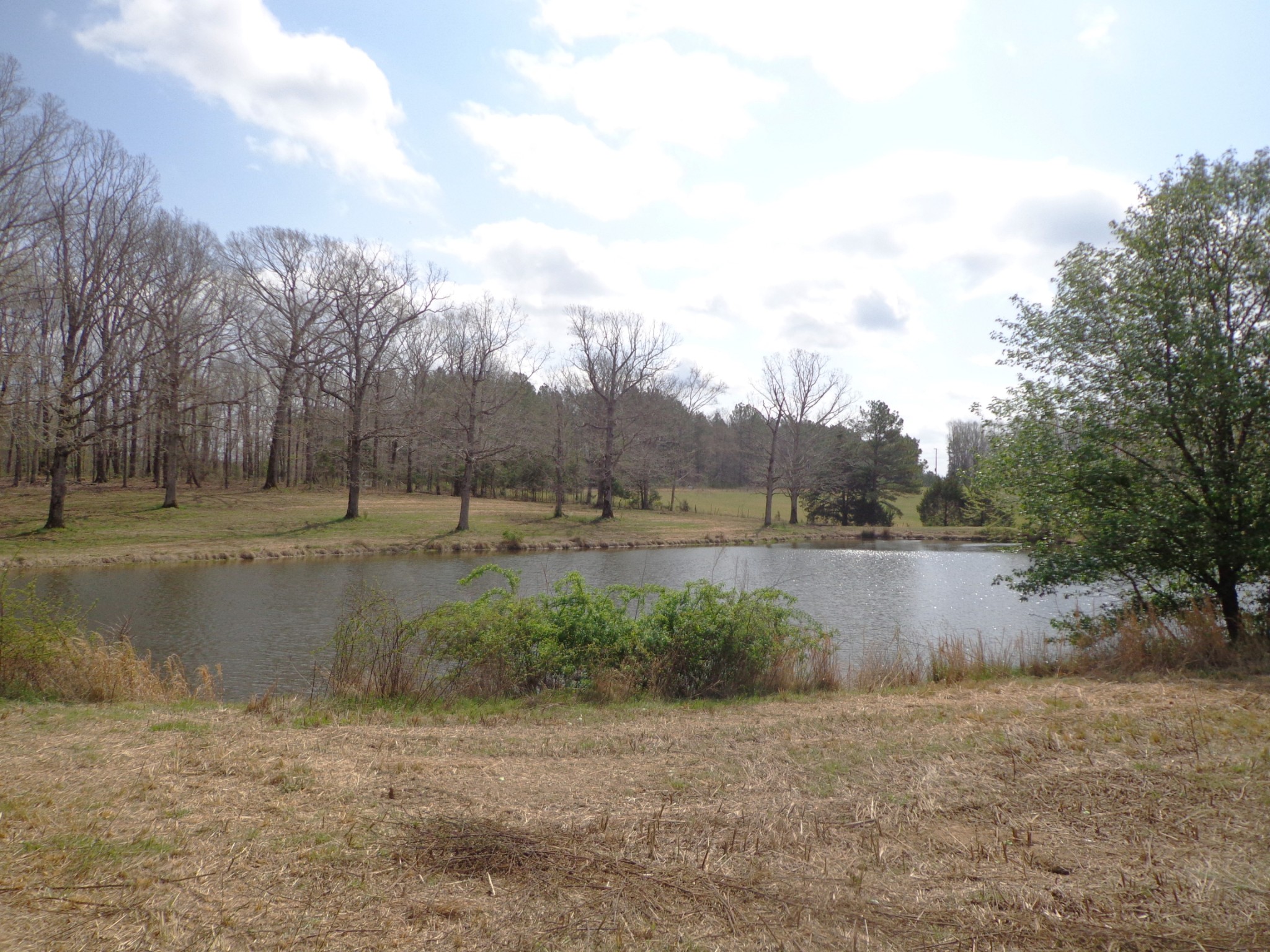 1551 Tennessee Ridge Road Waverly, TN 37185 - Photo 13 of 19