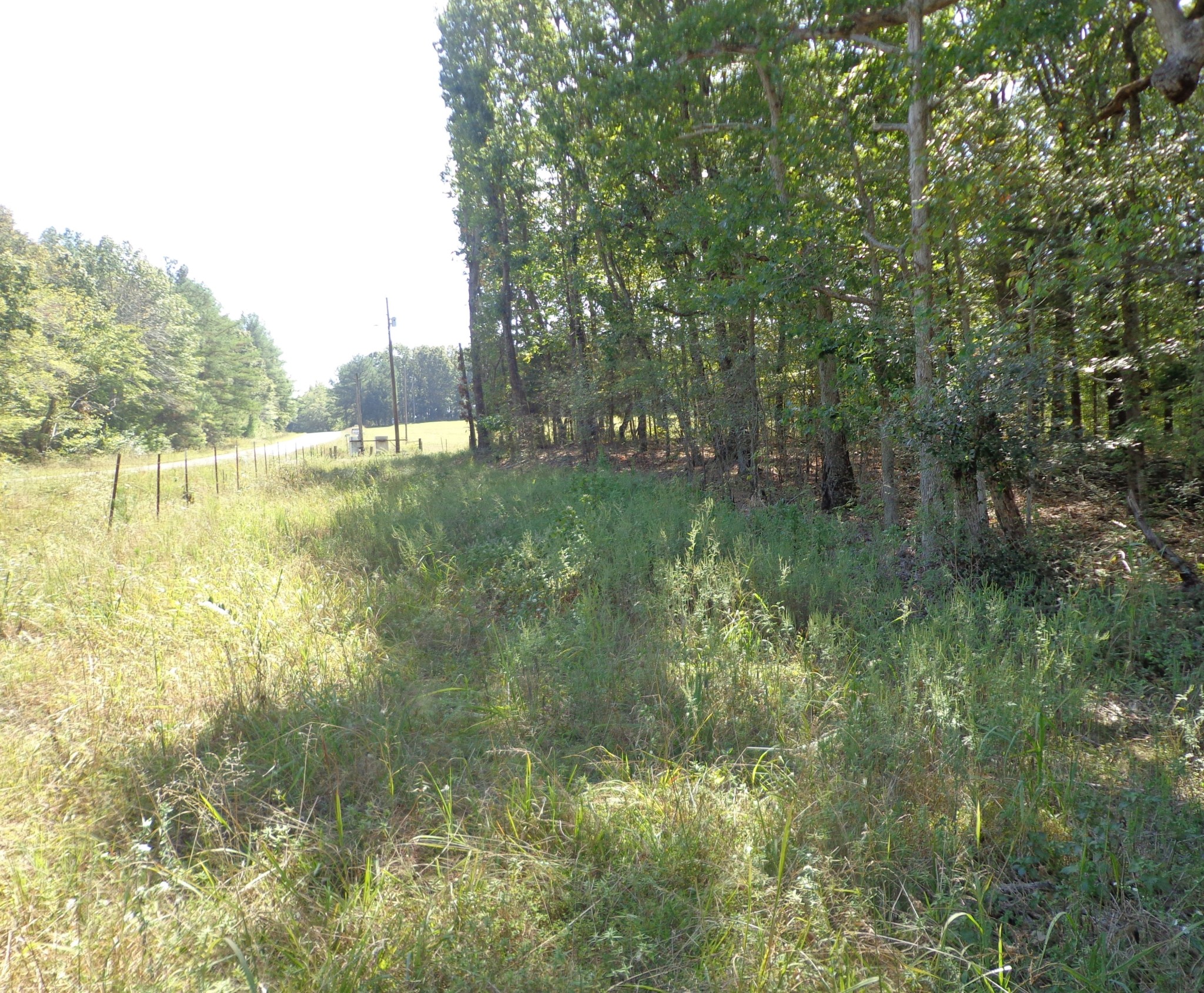 1551 Tennessee Ridge Road Waverly, TN 37185 - Photo 13 of 21 a view of a lake view with houses in background