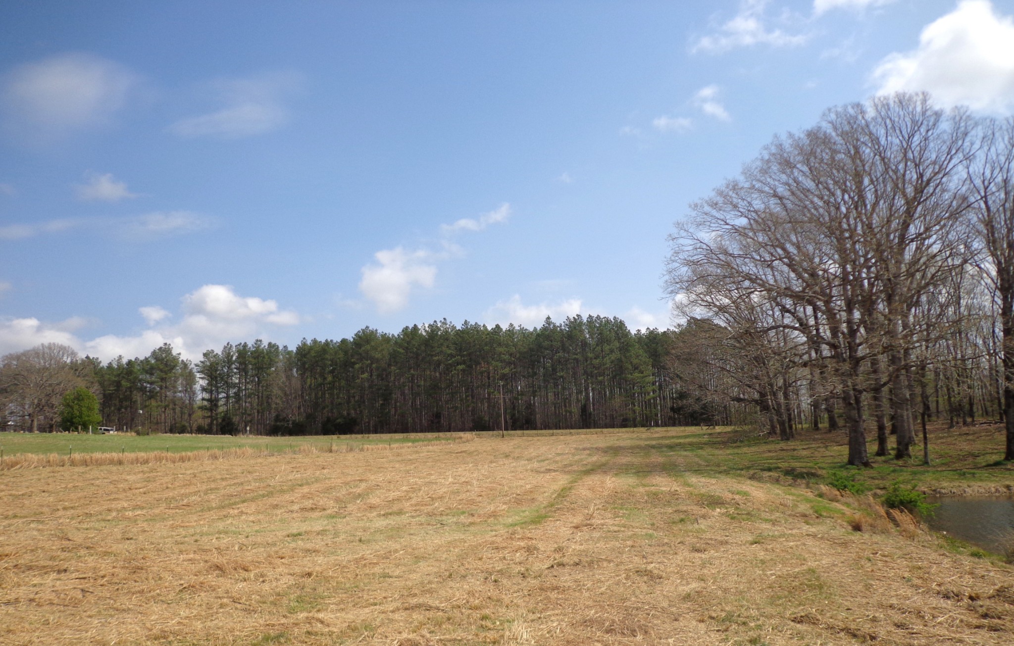 1551 Tennessee Ridge Road Waverly, TN 37185 - Photo 14 of 19