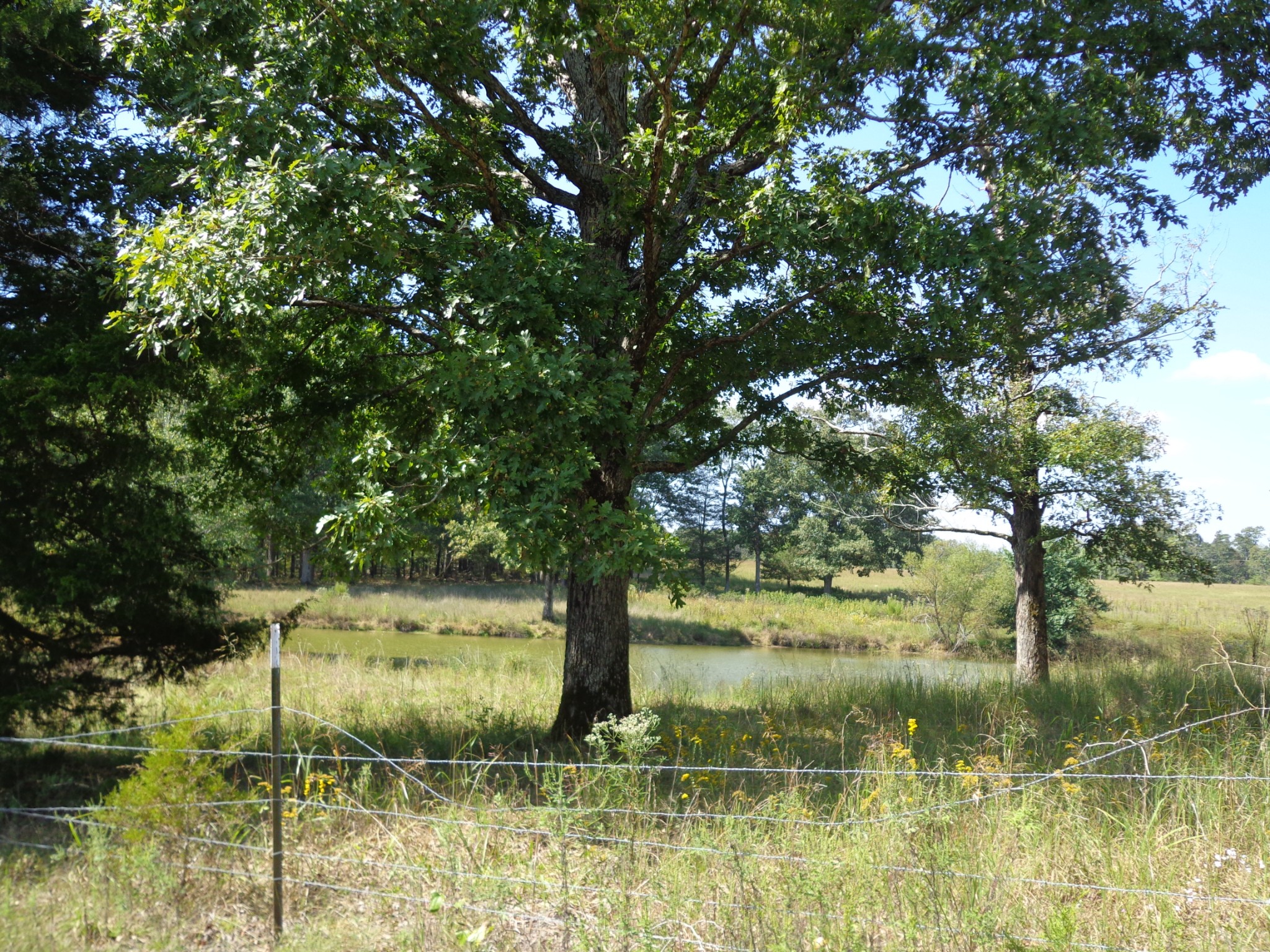 1551 Tennessee Ridge Road Waverly, TN 37185 - Photo 15 of 21 a view of lake