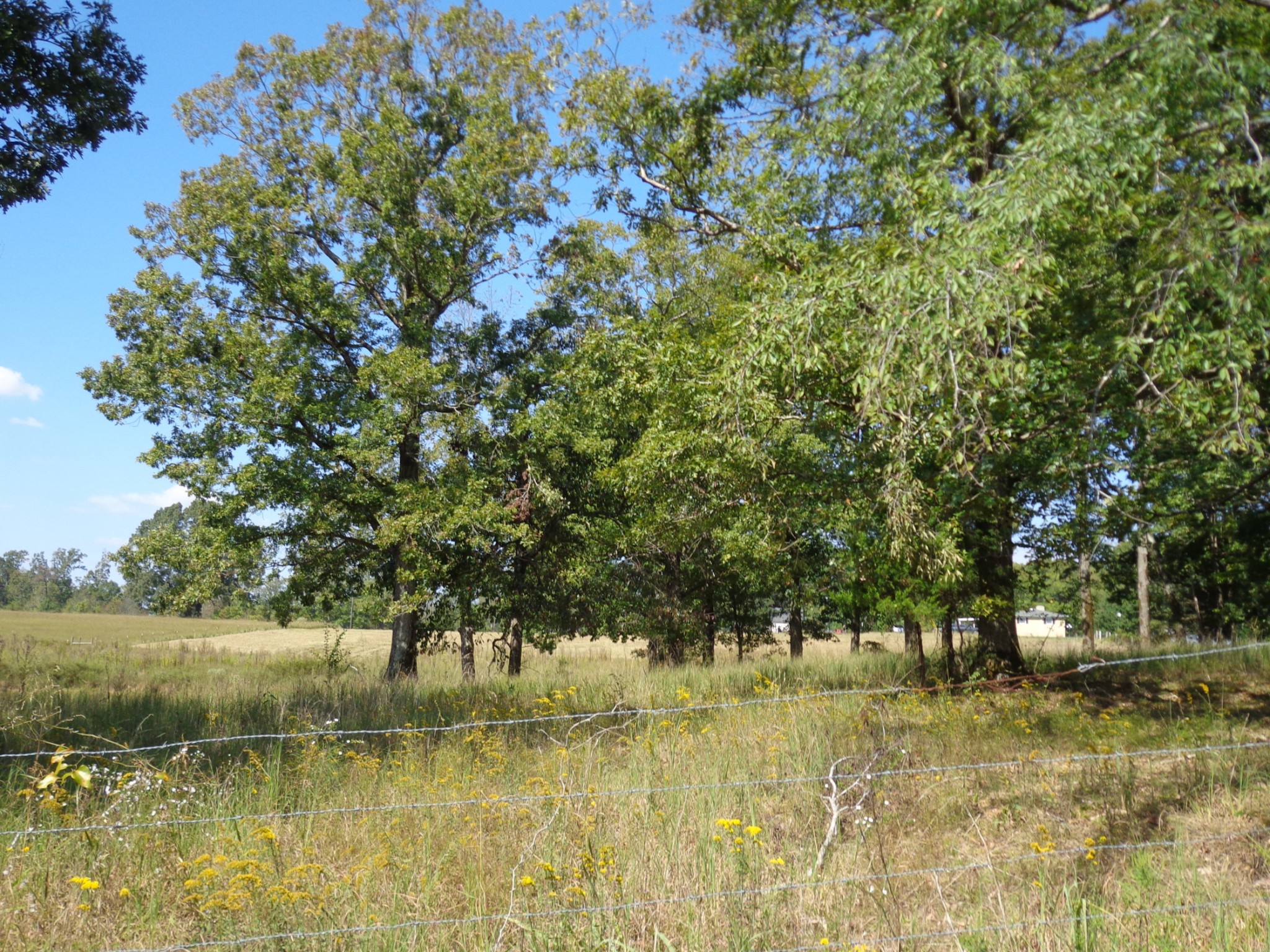 1551 Tennessee Ridge Road Waverly, TN 37185 - Photo 16 of 21 a view of lake