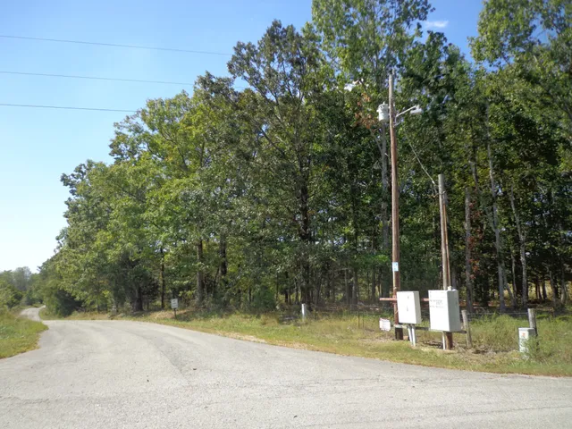 a view of a park with trees
