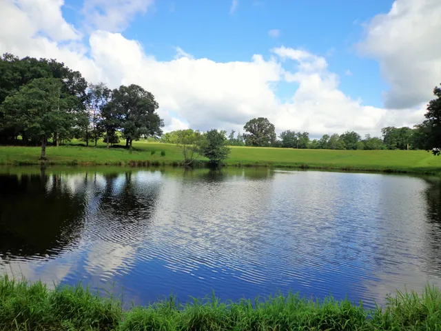 a lake view with a lake view