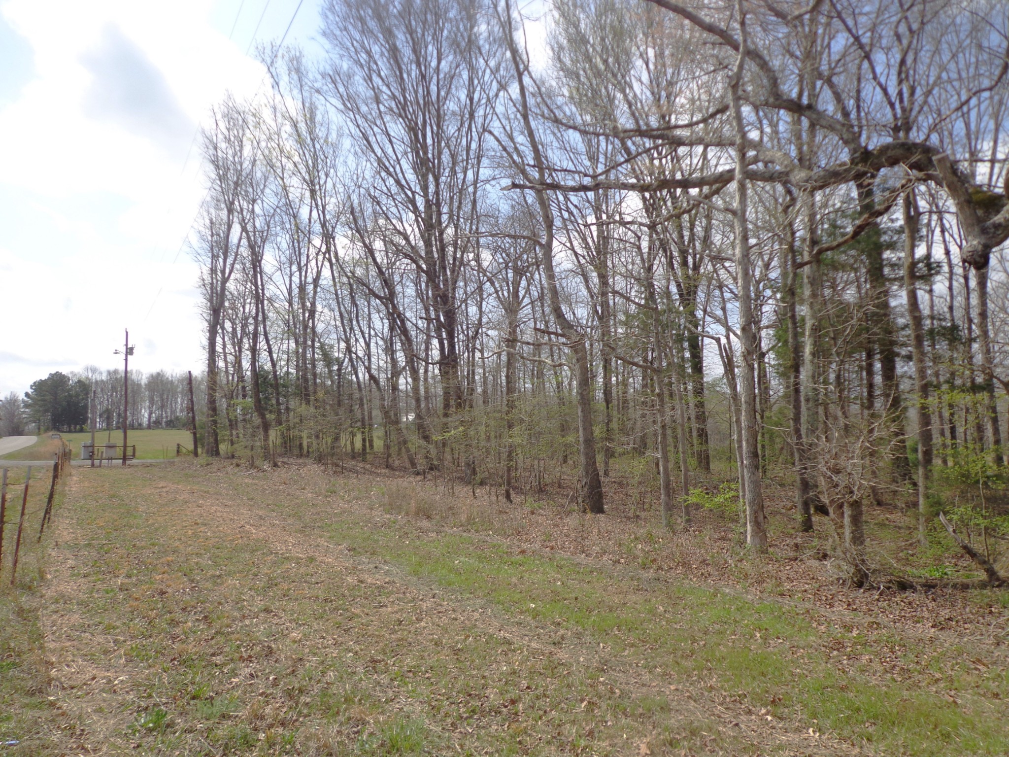 1551 Tennessee Ridge Road Waverly, TN 37185 - Photo 2 of 19