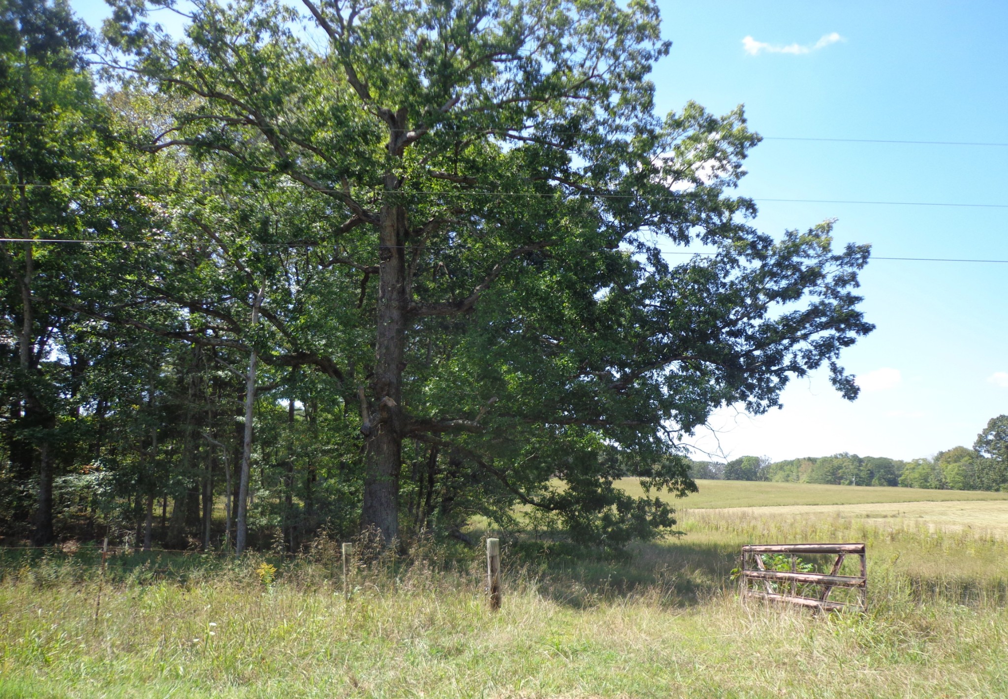 1551 Tennessee Ridge Road Waverly, TN 37185 - Photo 2 of 21 a view of lake