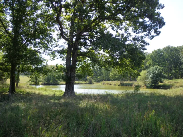 a view of outdoor space with deck and yard