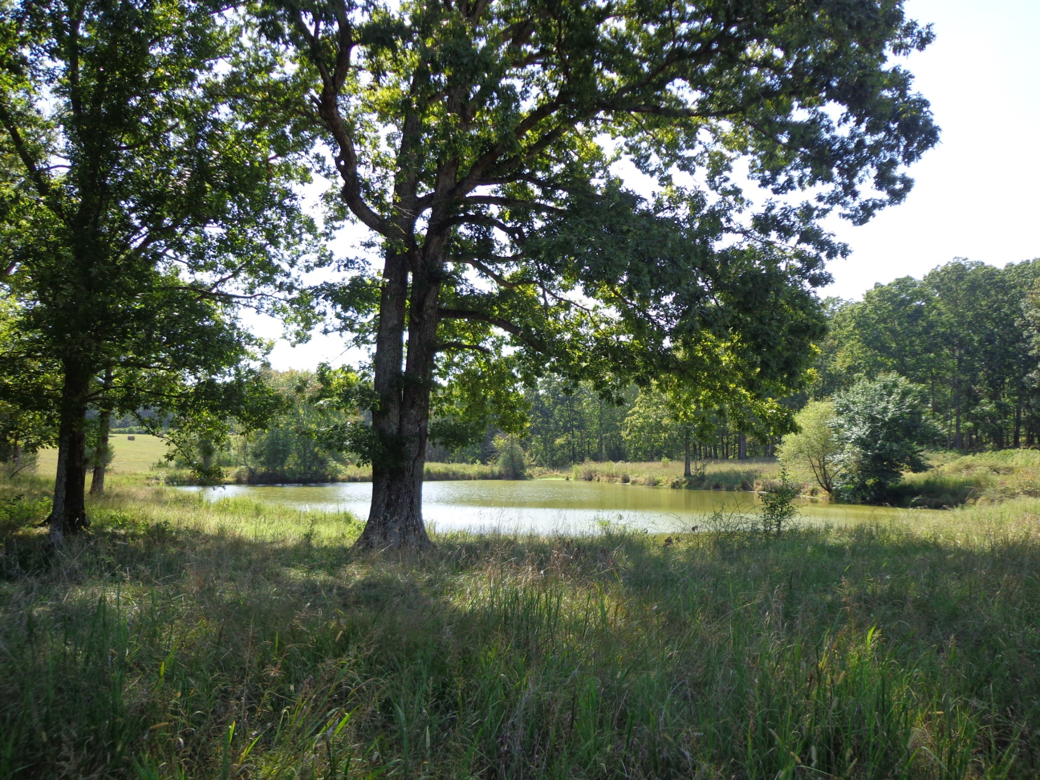 1551 Tennessee Ridge Road Waverly, TN 37185 - Photo 21 of 21 a view of outdoor space with deck and yard