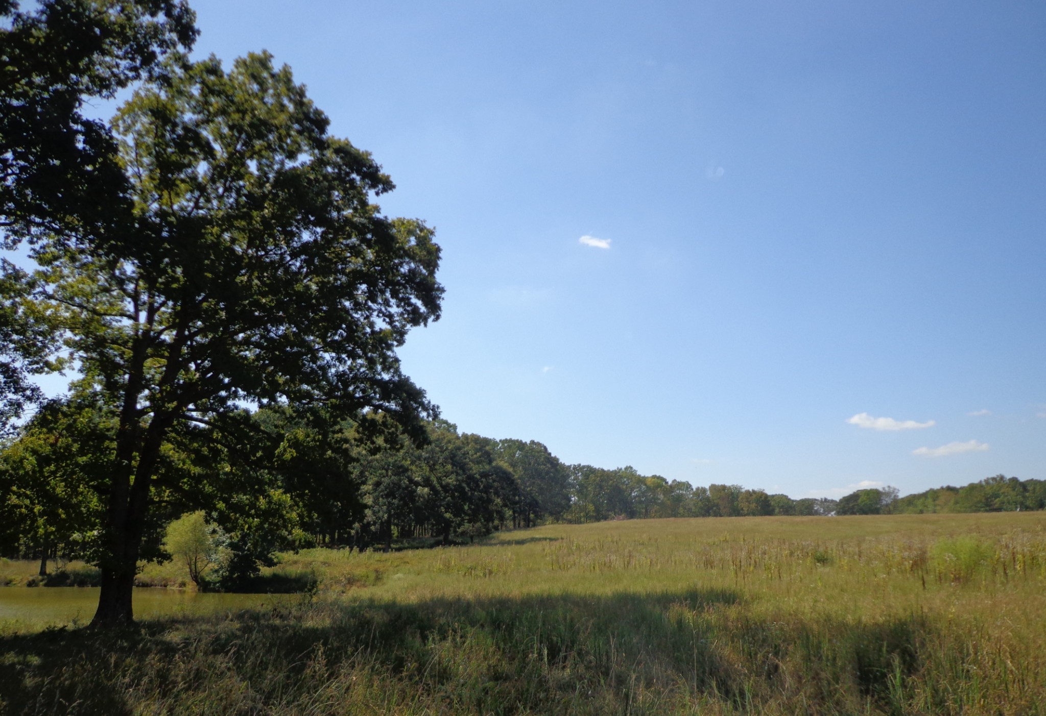 1551 Tennessee Ridge Road Waverly, TN 37185 - Photo 3 of 21 a view of lake and mountain