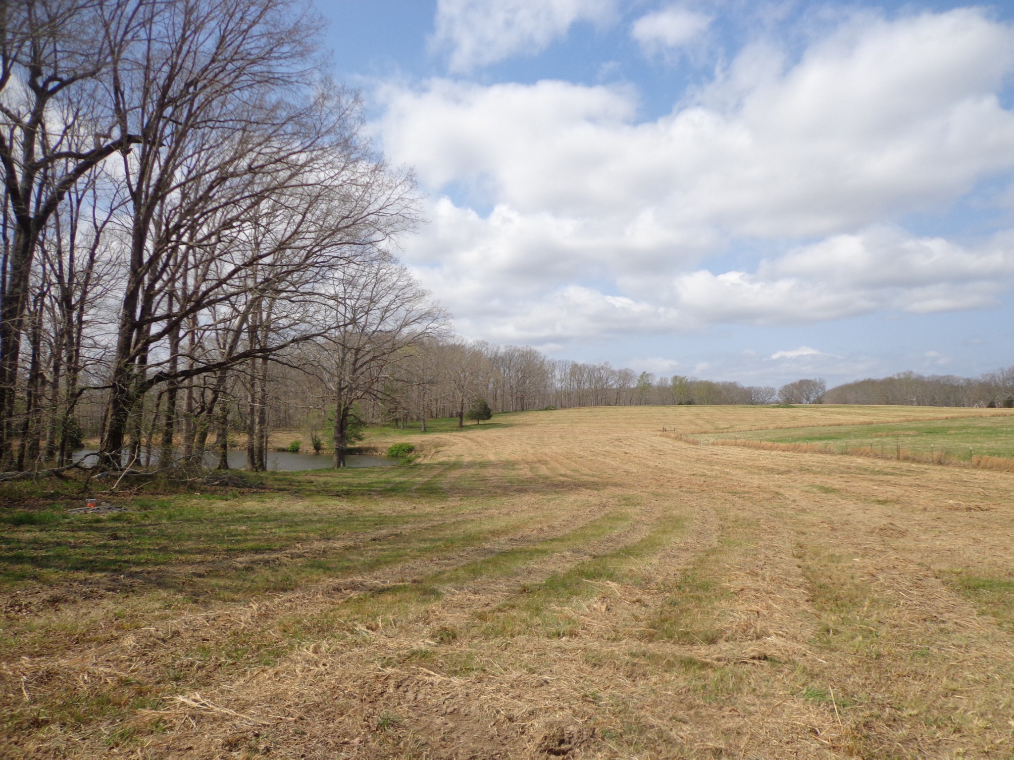 1551 Tennessee Ridge Road Waverly, TN 37185 - Photo 4 of 19