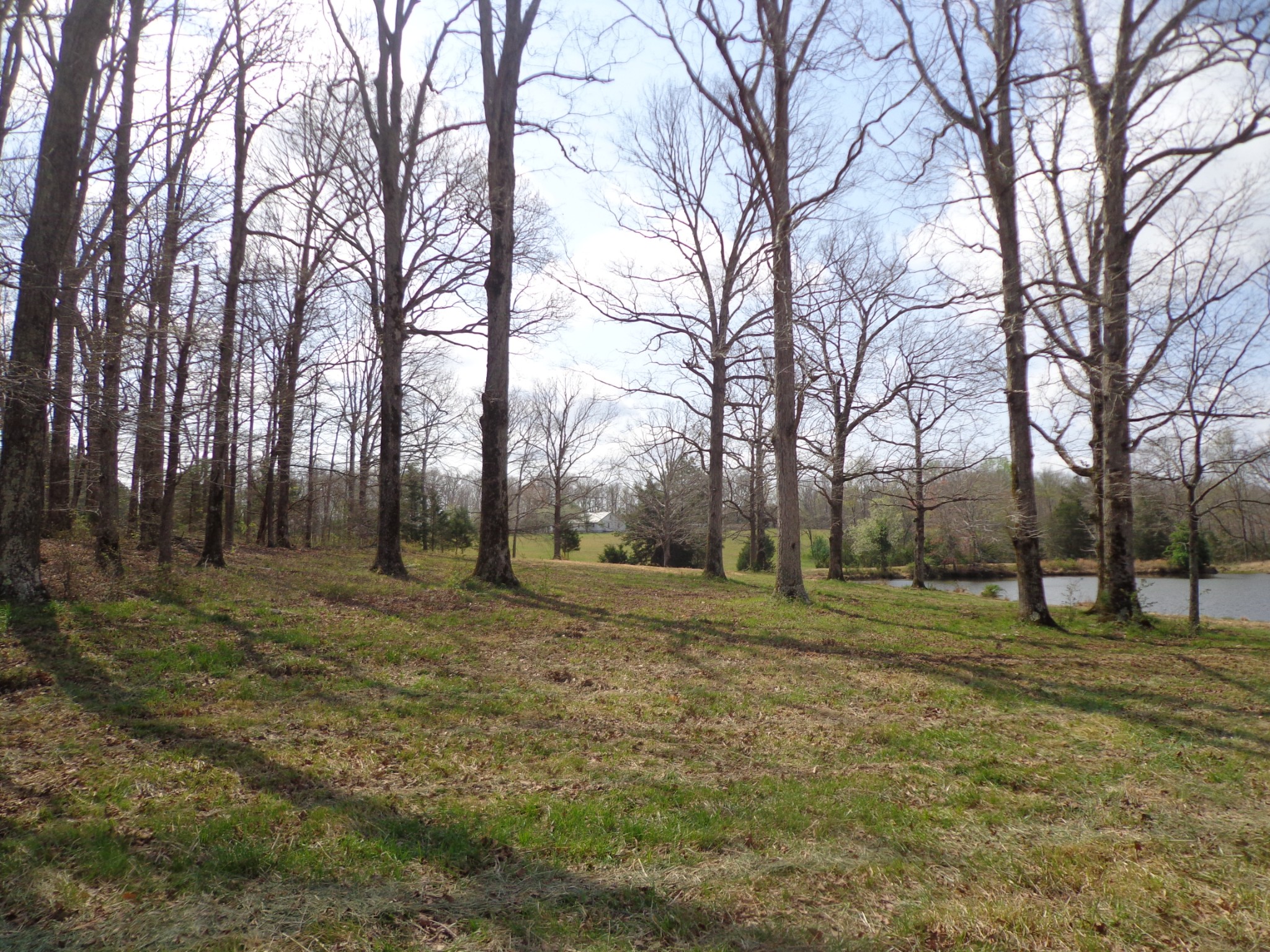 1551 Tennessee Ridge Road Waverly, TN 37185 - Photo 5 of 19