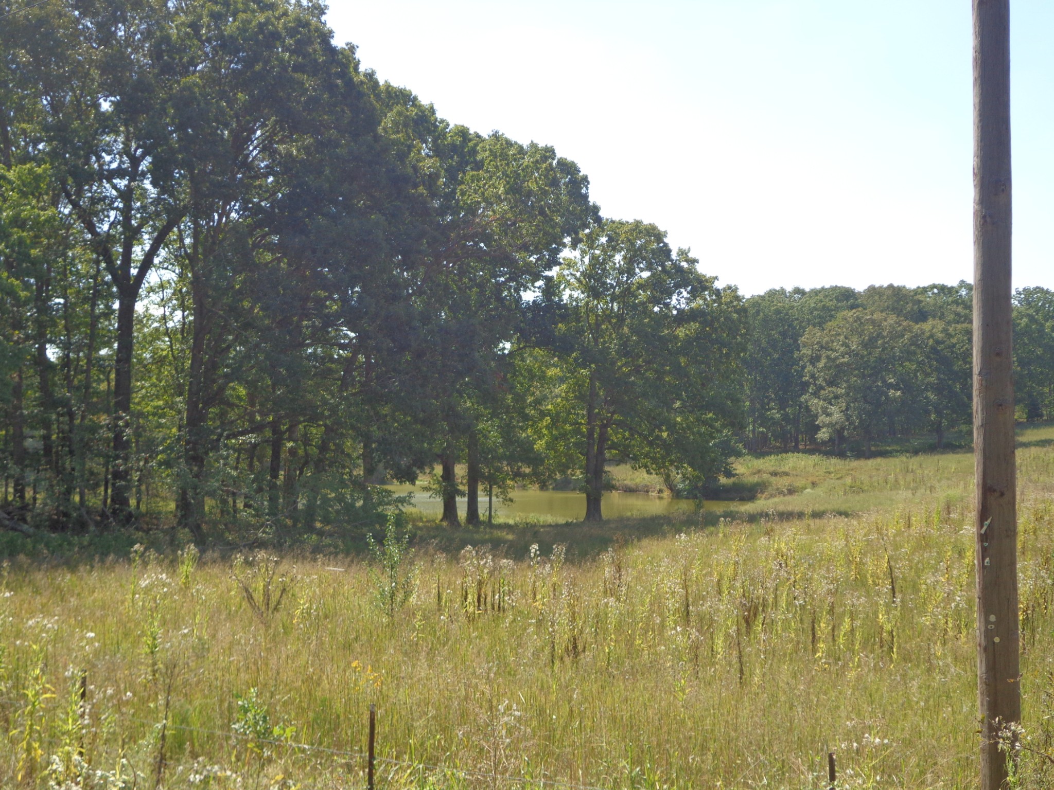 1551 Tennessee Ridge Road Waverly, TN 37185 - Photo 6 of 21 a view of a lake view