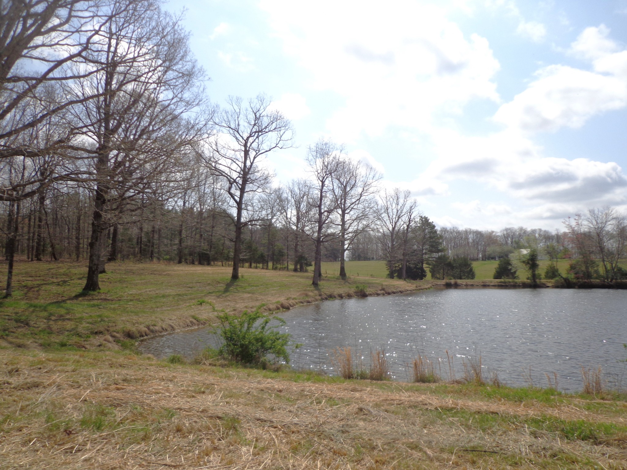 1551 Tennessee Ridge Road Waverly, TN 37185 - Photo 6 of 19