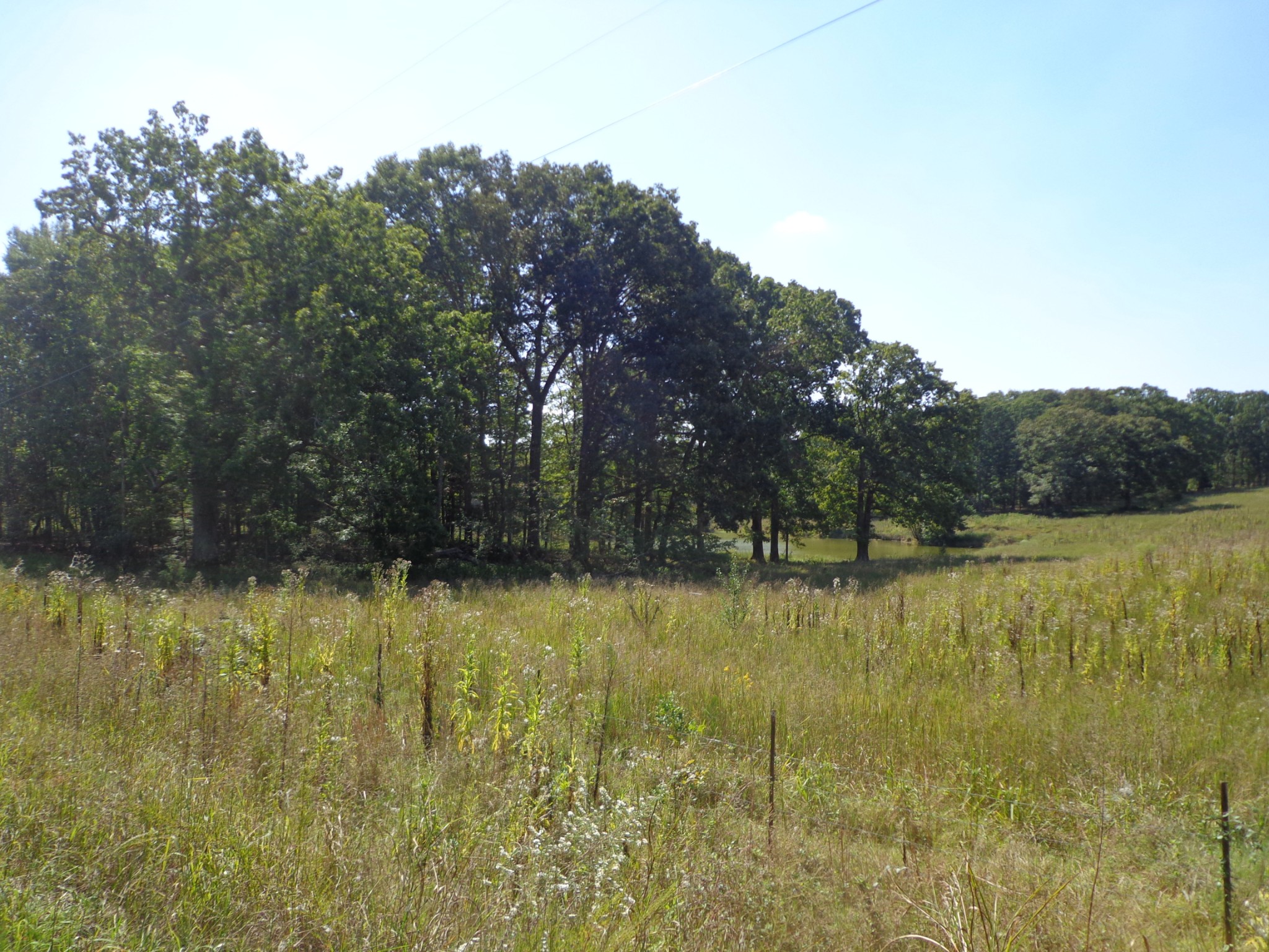 1551 Tennessee Ridge Road Waverly, TN 37185 - Photo 7 of 21 a view of a lake view