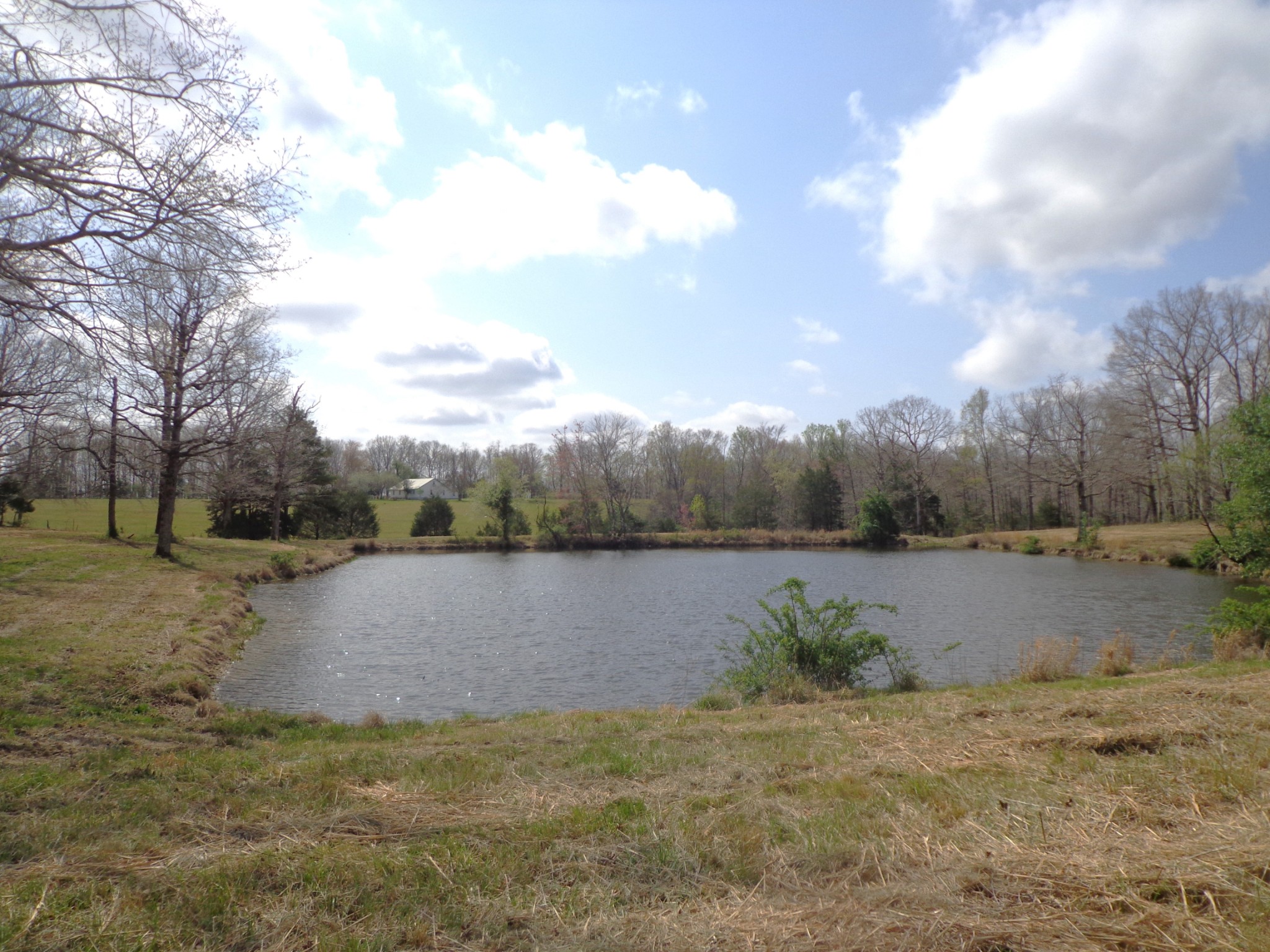 1551 Tennessee Ridge Road Waverly, TN 37185 - Photo 7 of 19