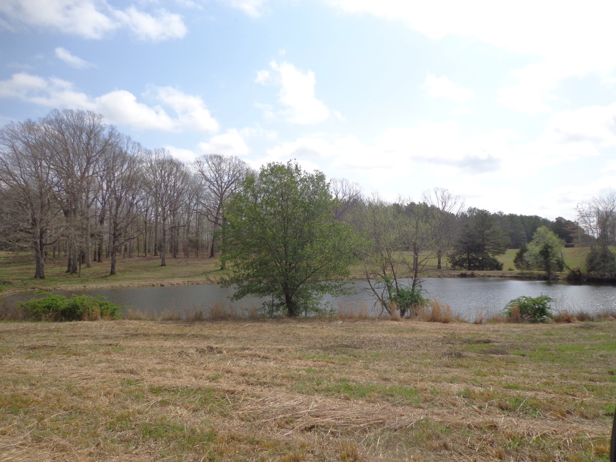 1551 Tennessee Ridge Road Waverly, TN 37185 - Photo 8 of 19