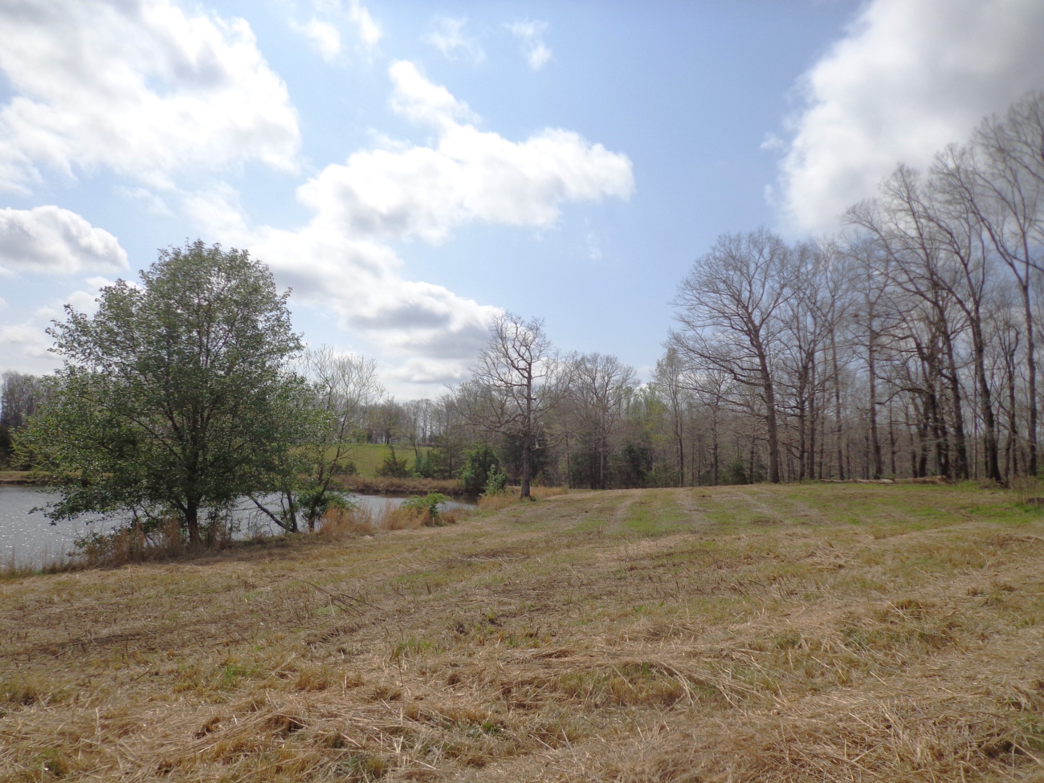 1551 Tennessee Ridge Road Waverly, TN 37185 - Photo 9 of 19