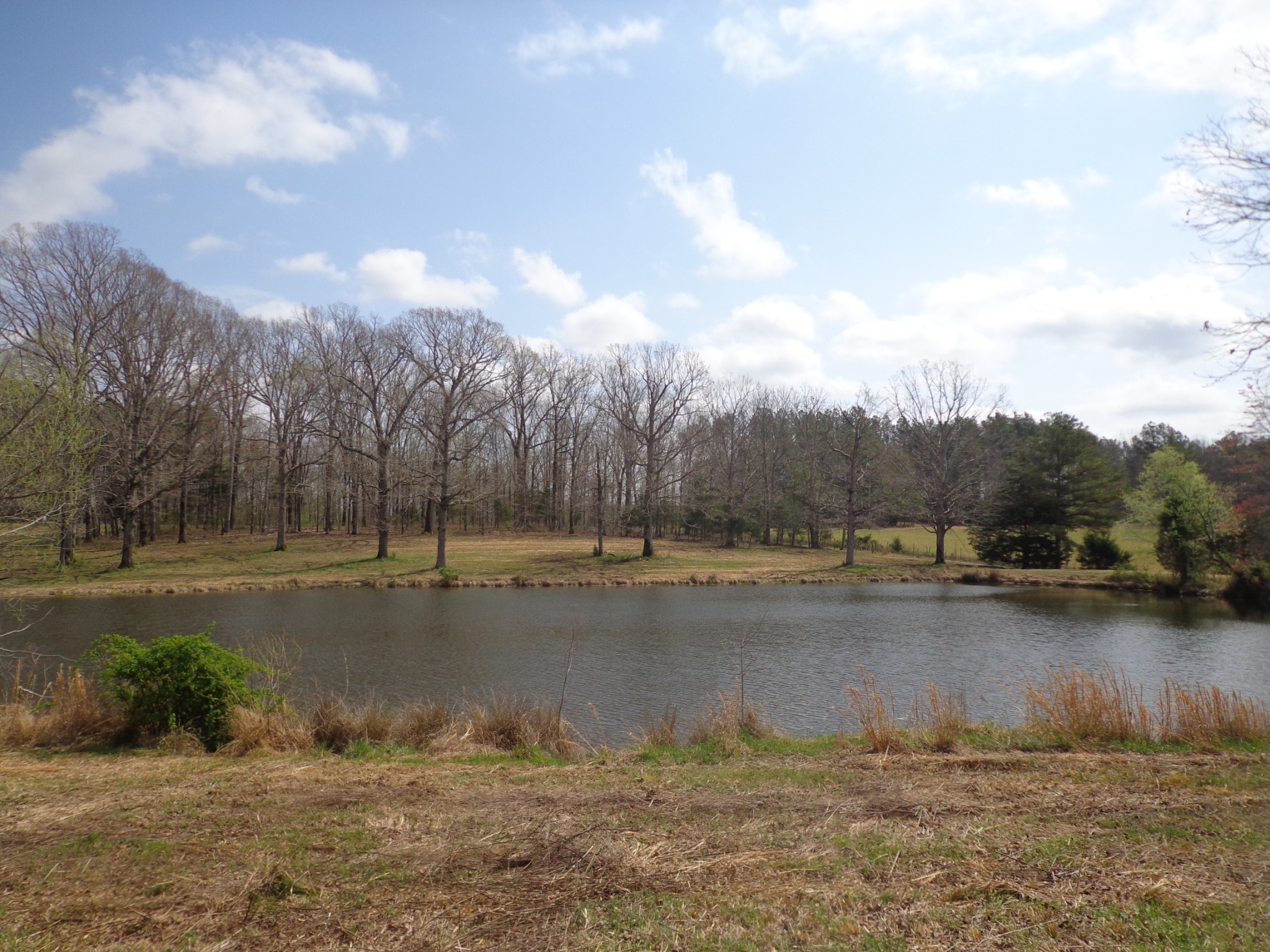 1551 Tennessee Ridge Road Waverly, TN 37185 - Photo 10 of 19