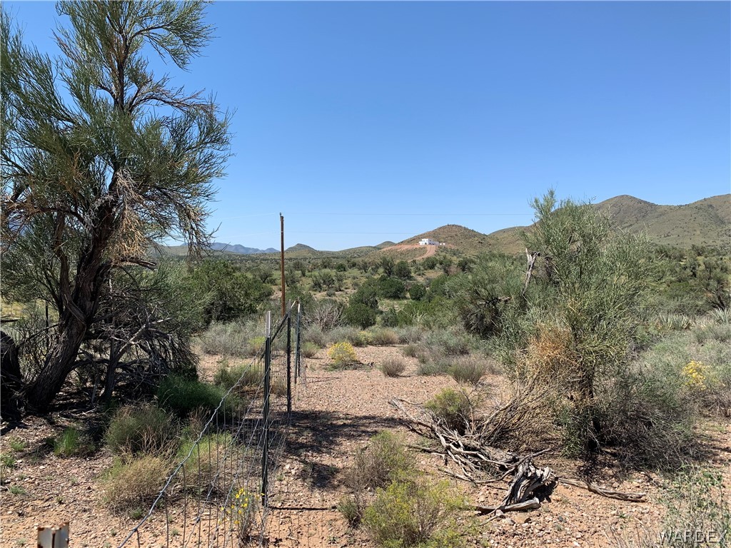 0 North Twin Hills Road Kingman, AZ 86401 - Photo 7 of 20