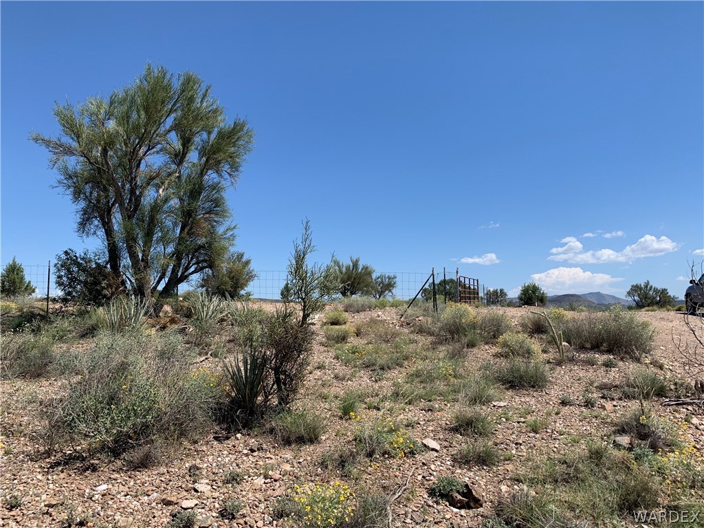 0 North Twin Hills Road Kingman, AZ 86401 - Photo 8 of 20
