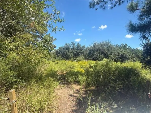 $35,000 | 999 Memorial Church Road, Longville, LA 70652