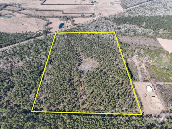 $441,000 | 5 Louisville Road, Groveton, TX 75845