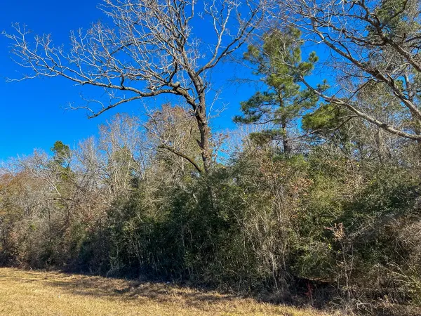 $441,000 | 5 Louisville Road, Groveton, TX 75845
