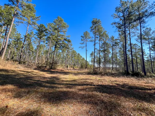 $441,000 | 5 Louisville Road, Groveton, TX 75845