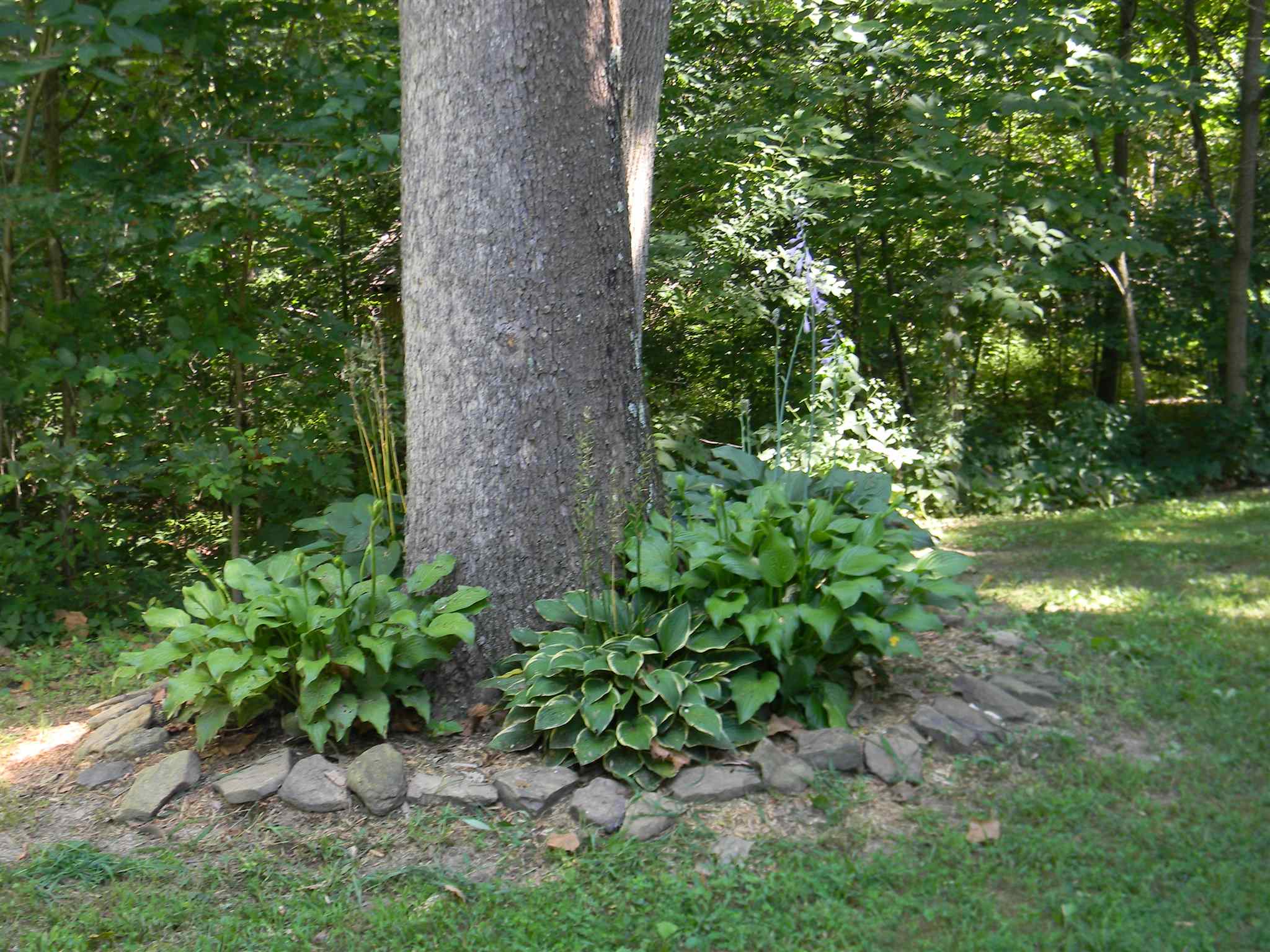 9720 Lehman Road Worthington, IN 47471 - Photo 31 of 36 Gallery Image 31