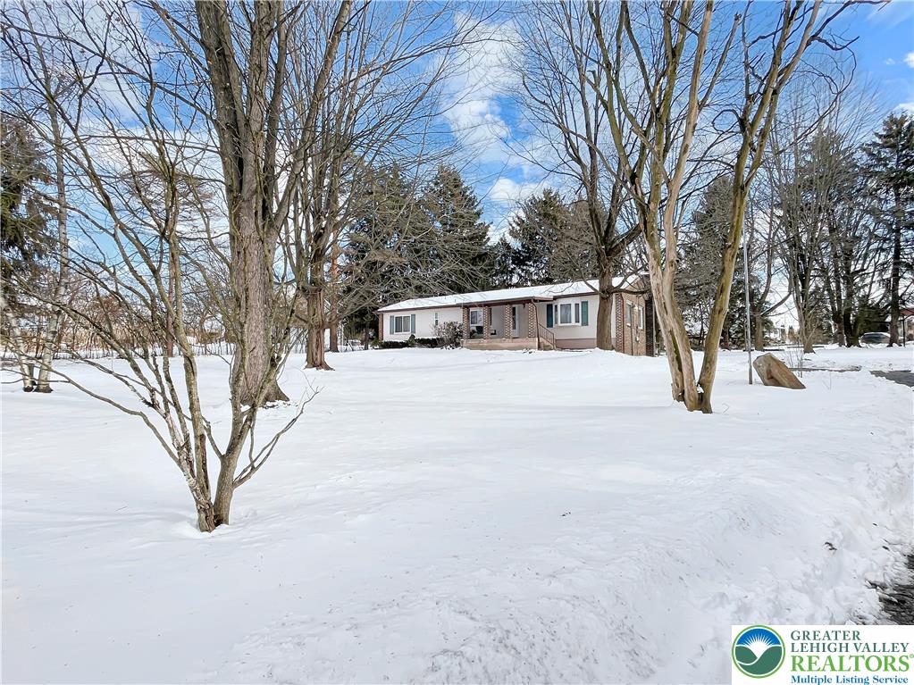 3406 Church Road Easton, PA 18045 - Photo 34 of 39 Mature trees