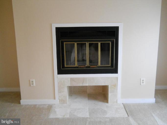 109 West Conway Street, Unit R Baltimore, MD 21201 - Photo 2 of 24 Fireplace