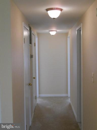 109 West Conway Street, Unit R Baltimore, MD 21201 - Photo 7 of 24 Hallway