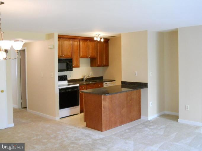 109 West Conway Street, Unit R Baltimore, MD 21201 - Photo 8 of 24 Kitchen