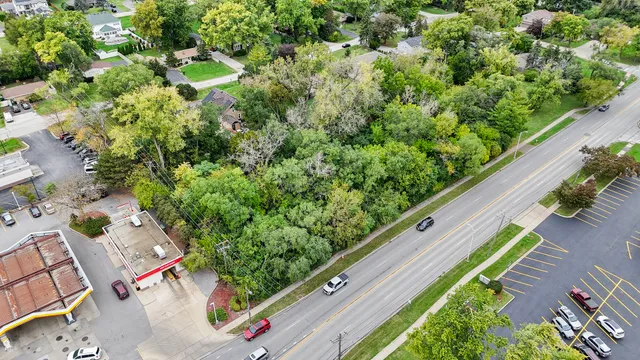 a view of a garden with plants