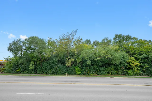 a backyard of a house with lots of trees