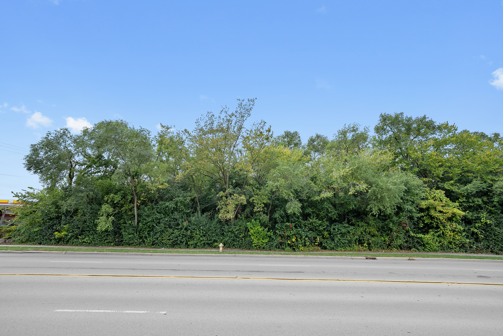 1152-1168 South Meyers Road Lombard, IL 60148 - Photo 6 of 11 a backyard of a house with lots of trees