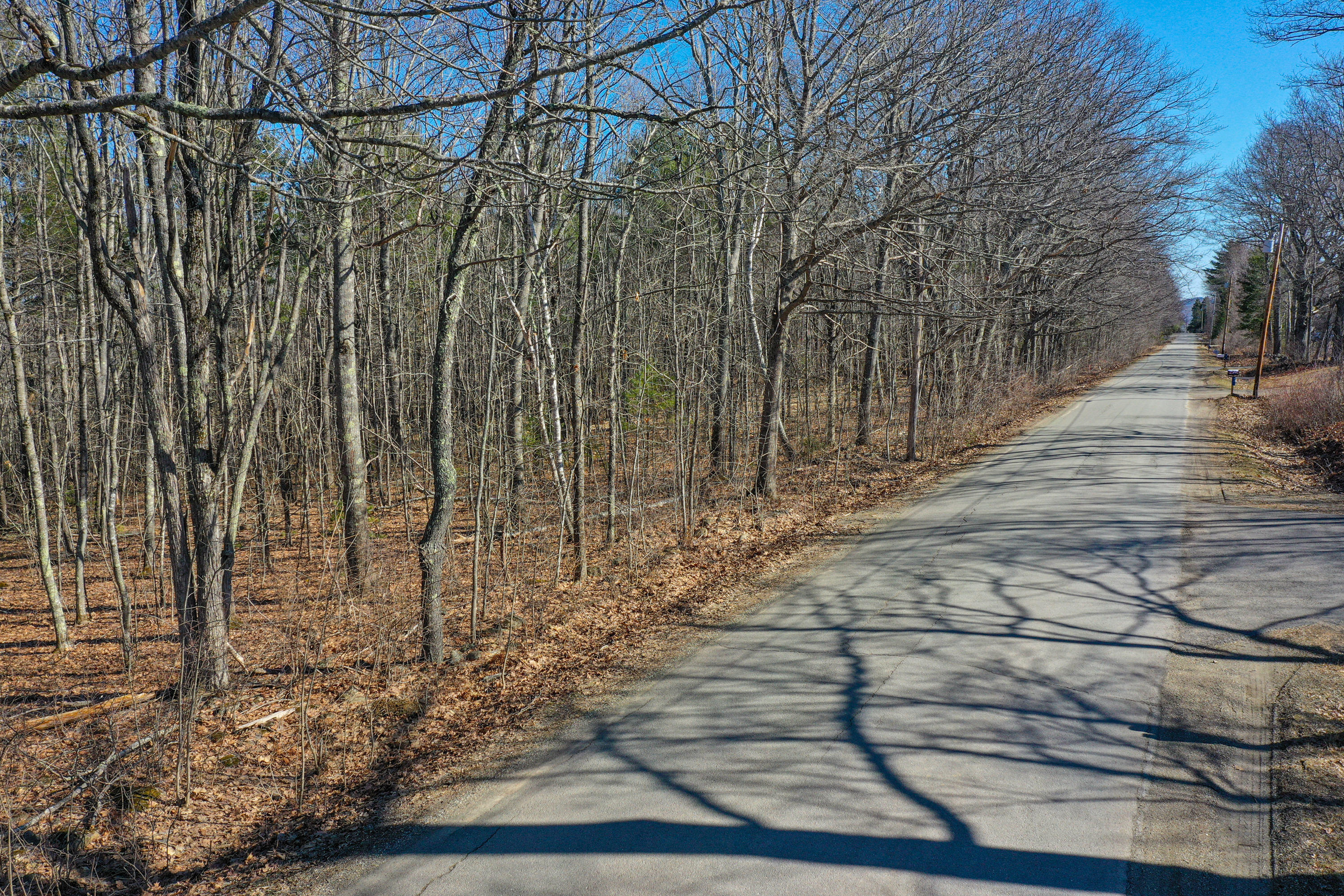 Lot #3 Bicknell Road Belmont, ME 04952 - Photo 3 of 8 BicknellLot3Roadside