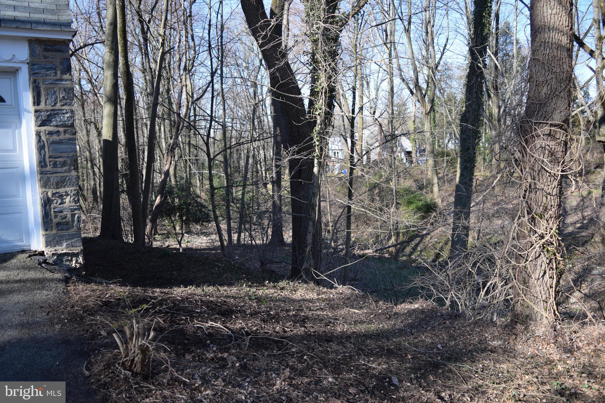 733 South Providence Road Wallingford, PA 19086 - Photo 43 of 48