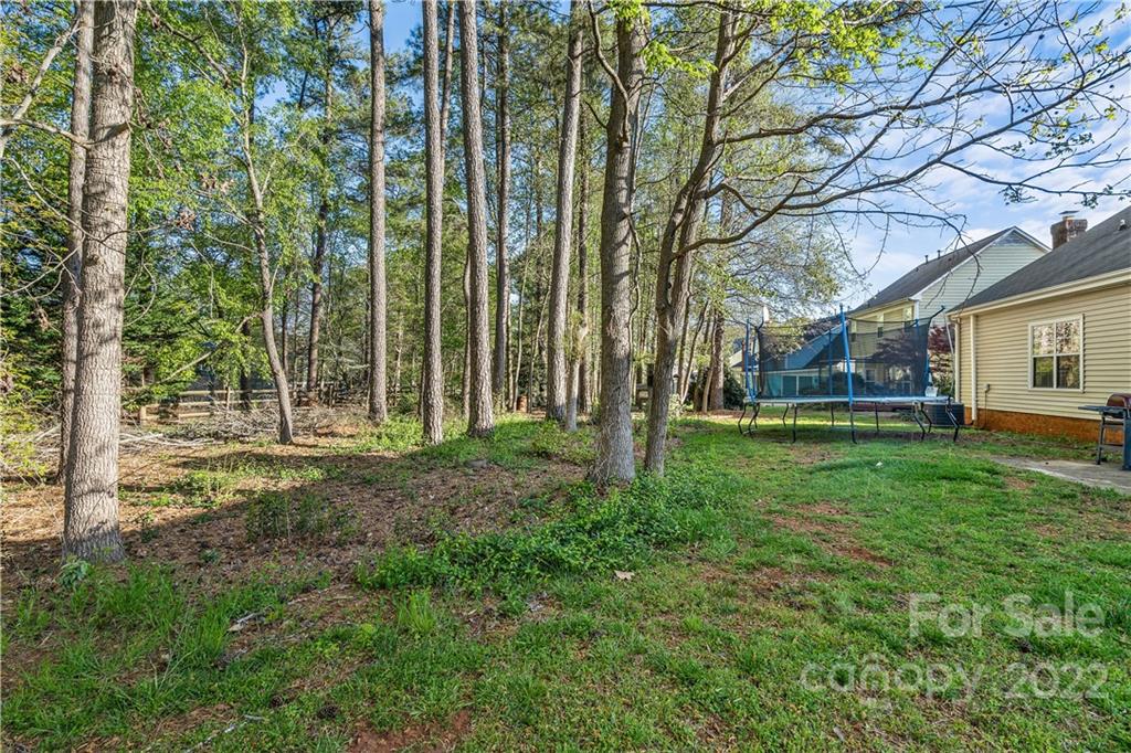 7001 Reedy Creek Road Charlotte, NC 28215 - Photo 23 of 24 a view of a house with backyard and a tree