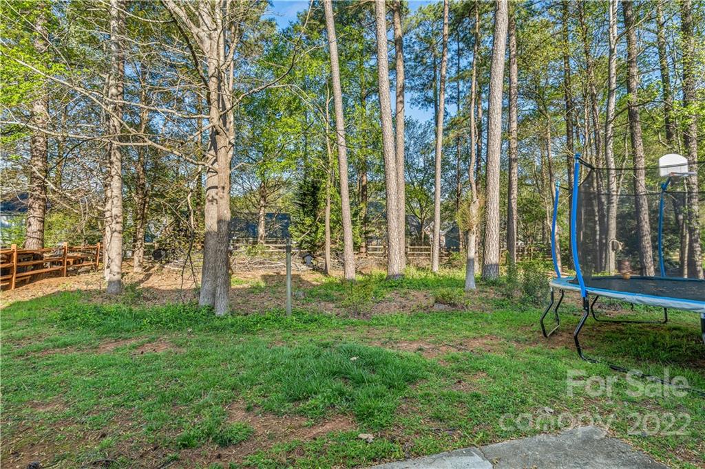 7001 Reedy Creek Road Charlotte, NC 28215 - Photo 24 of 24 a view of a garden with a tree