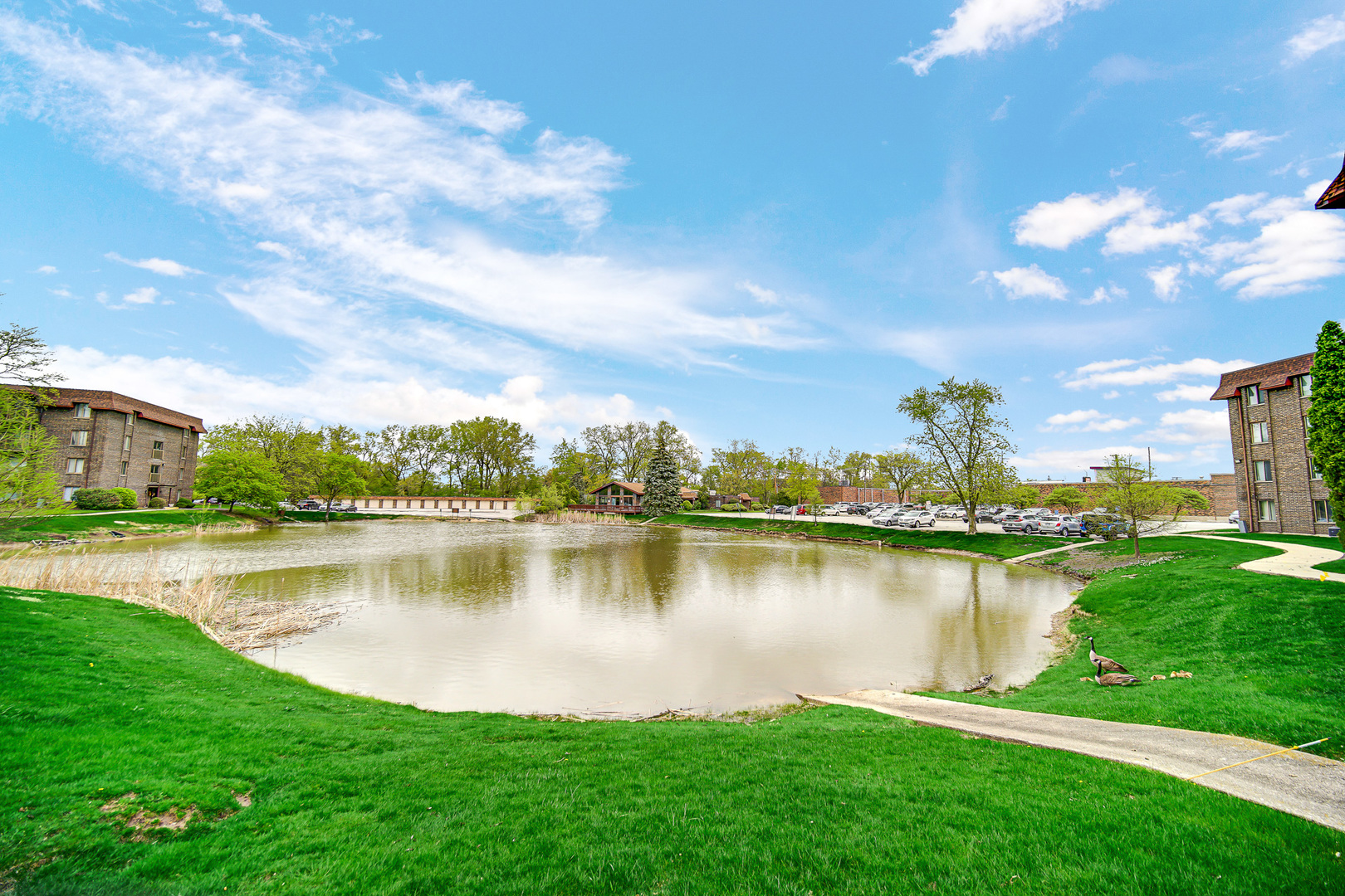 820 Elder Road, Unit C413 Homewood, IL 60430 - Photo 21 of 21 Gallery Image 21