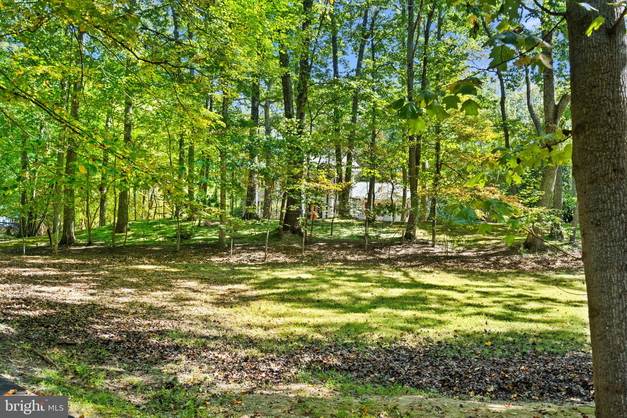 7255 Auburn Mill Road Warrenton, VA 20187 - Photo 3 of 58 Sits well off the road