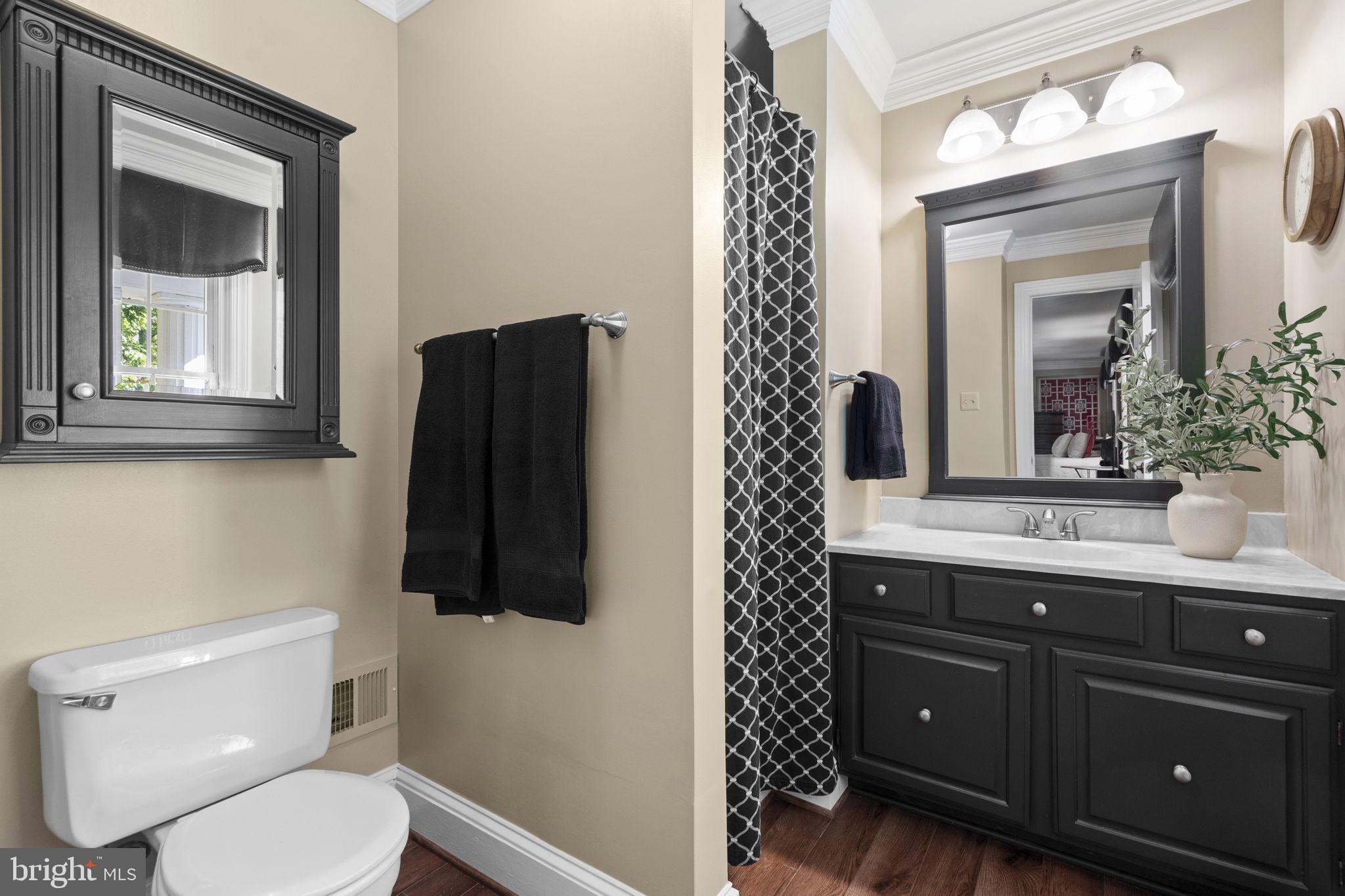 7255 Auburn Mill Road Warrenton, VA 20187 - Photo 36 of 58 a bathroom with a toilet a sink and mirror