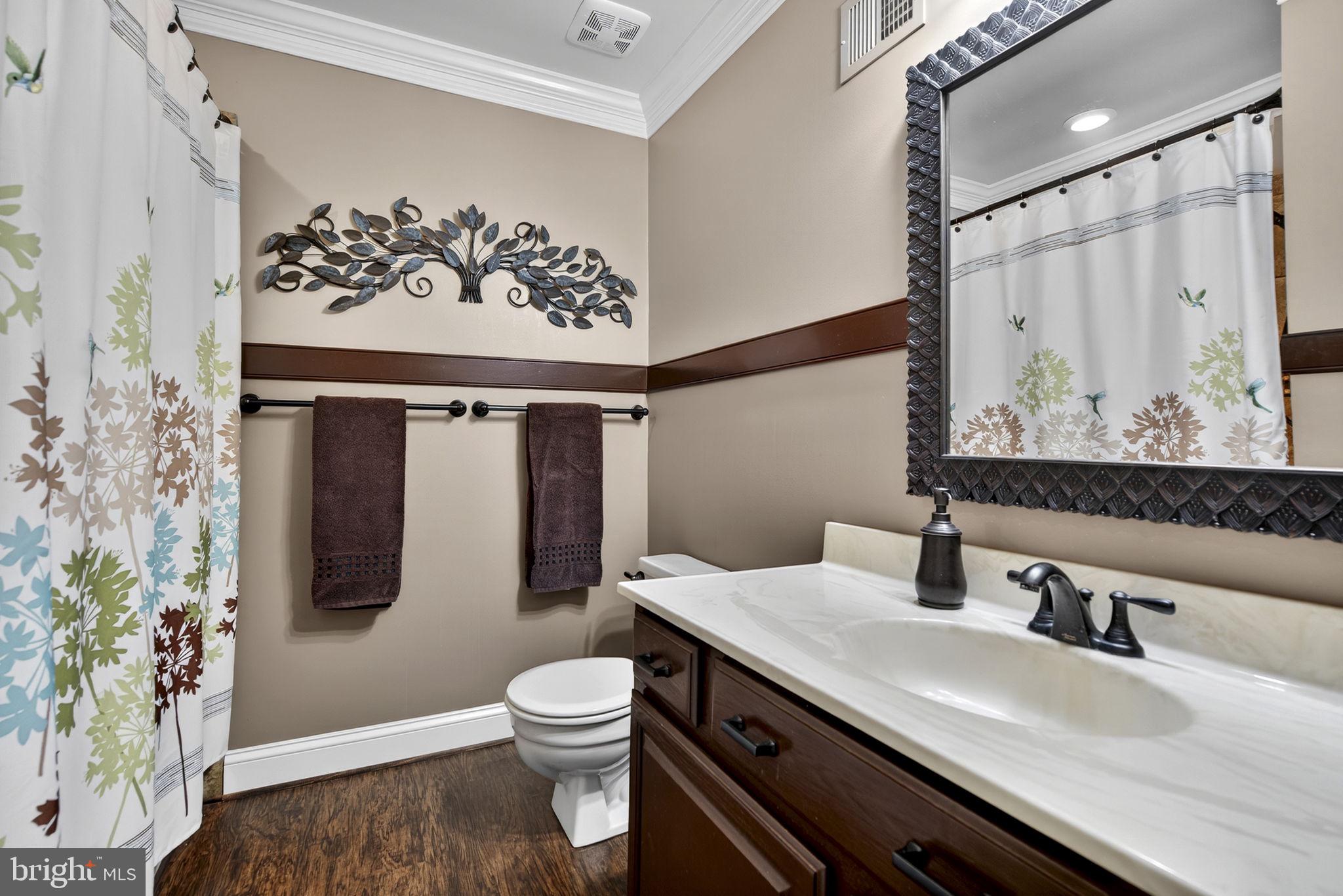 7255 Auburn Mill Road Warrenton, VA 20187 - Photo 44 of 58 a bathroom with a toilet sink and mirror