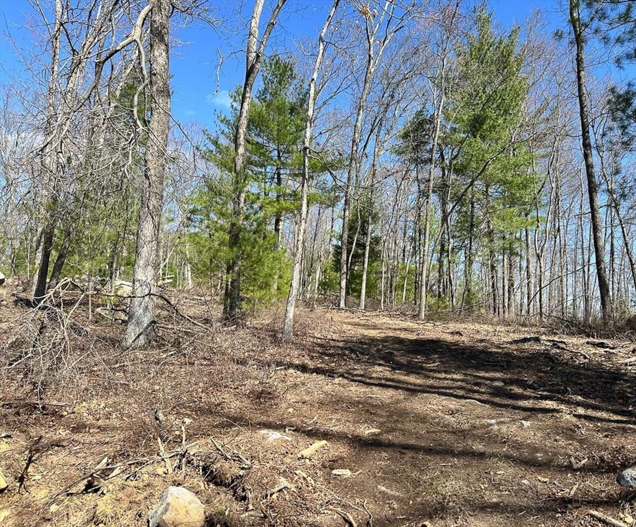 126 Burbank Road Sutton, MA 01590 - Photo 4 of 4