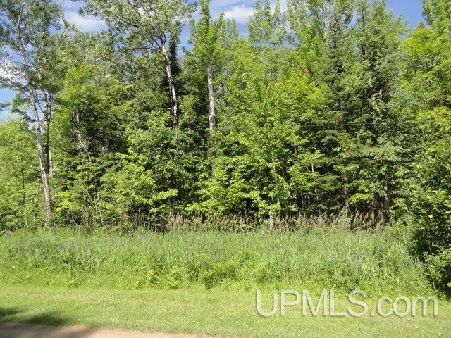 Tbd Puuri Road Baraga, MI 49908 - Photo 12 of 20