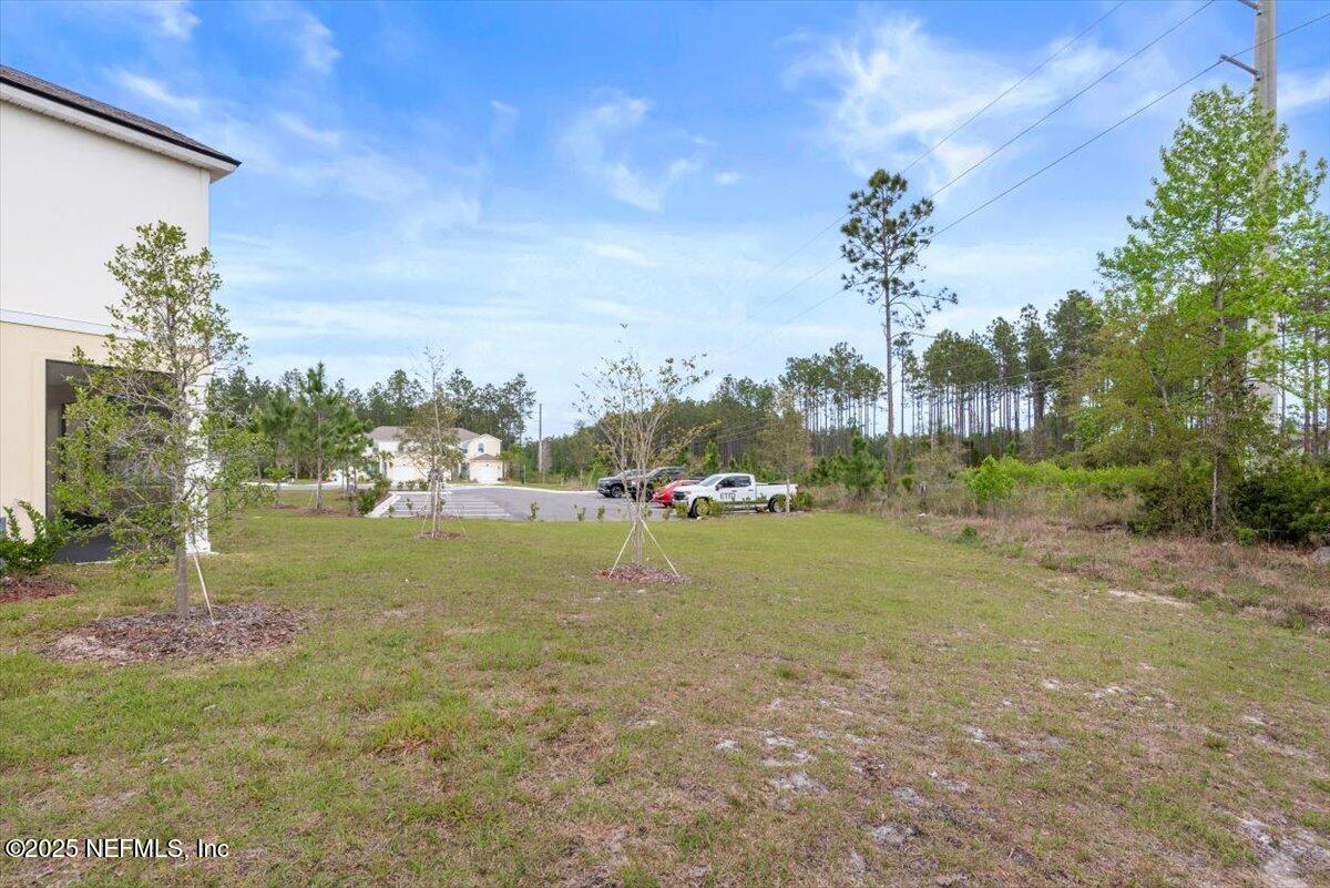 164 Java Lane St. Augustine, FL 32092 - Photo 35 of 57 a view of a field with large trees