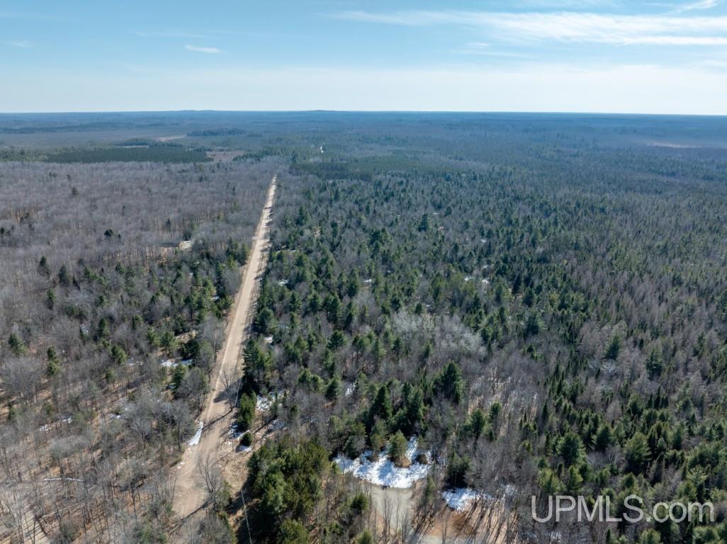 Tbd Dd Road Wetmore, MI 49895 - Photo 9 of 22