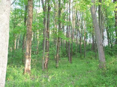 59259 Stoldt Road Three Rivers, MI 49093 - Photo 7 of 10 Additional Photo